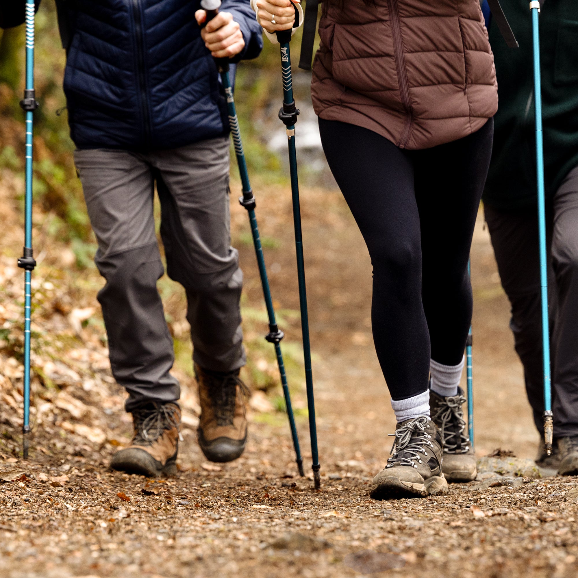 Aluminium Twistlock Walking Poles (Set of 2)